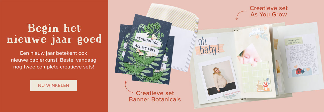 Dbws hmpg wnew all nl 1225 q4 consolidated product release